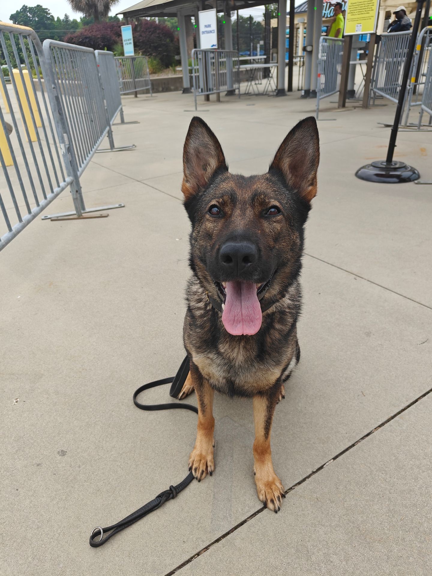 K9 Ari - SRK9/EDK9