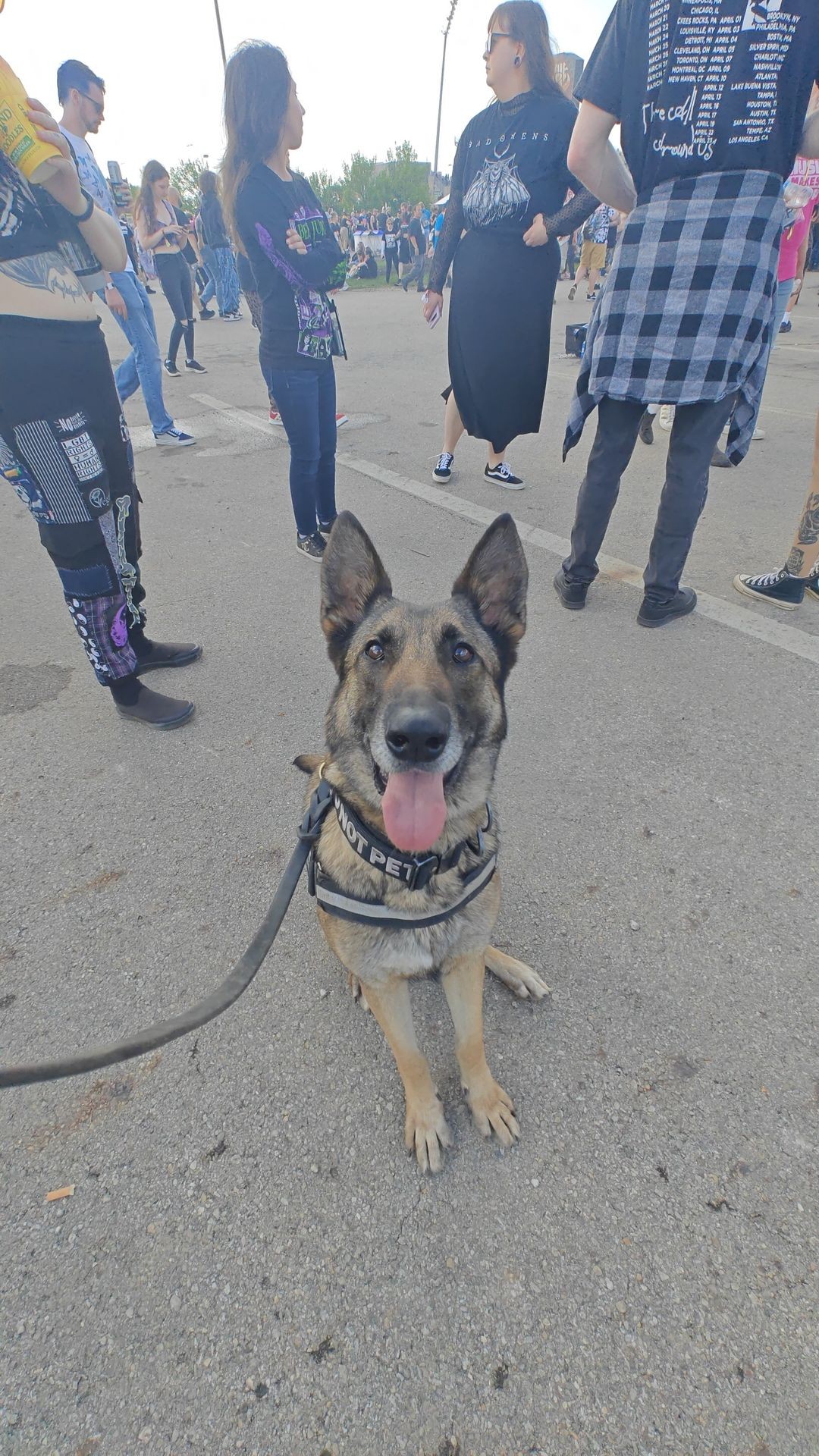 K9 Kaira - Deterrence K9/EDK9