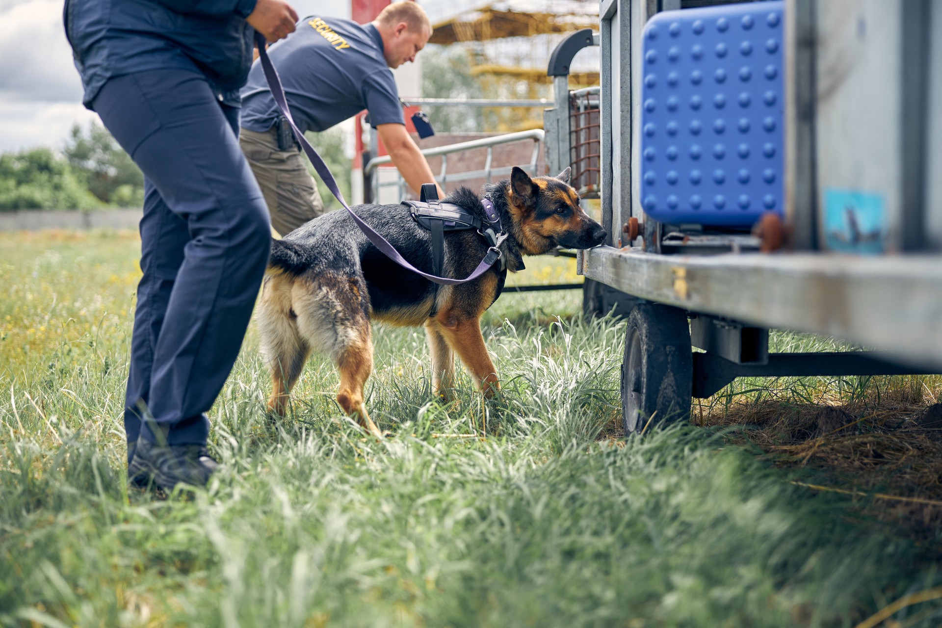 Security guards with dogs checking luggage outdoors at airport