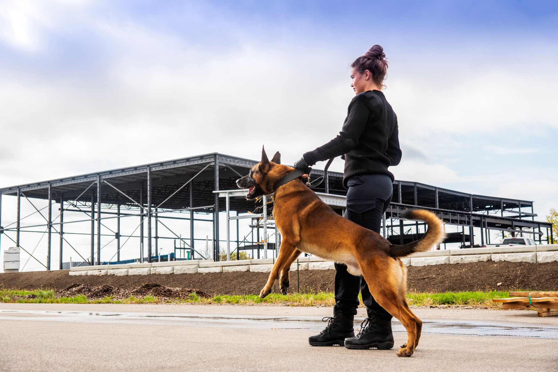 A female K-9 security professional with a Belgian Malinois on guard.